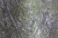 Burrow fibreglass roof work